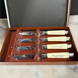 VINTAGE REGENT SHEFFIELD 4 PIECE SET STEAK KNIVES EMDEKO DESERT FLOWER ENGLAND